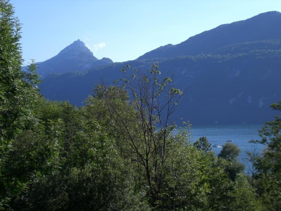 Meuble Avec Jardin Au Bord Du Bourget *