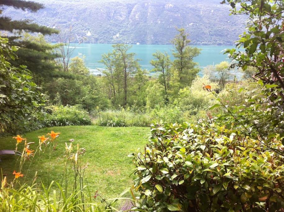 Meuble Avec Jardin Au Bord Du Bourget *
